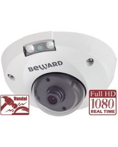 NK55630D8. IP-камера купольная. Beward в Кызыле
