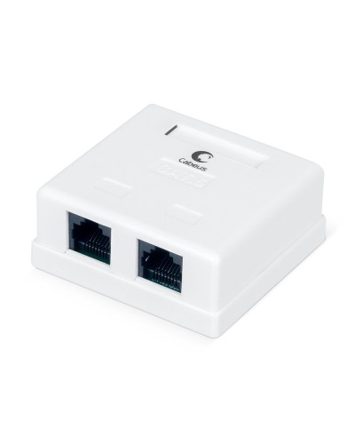 WS-8P8C-Cat.6-2 (7482c): Розетка RJ-45 в Кызыле