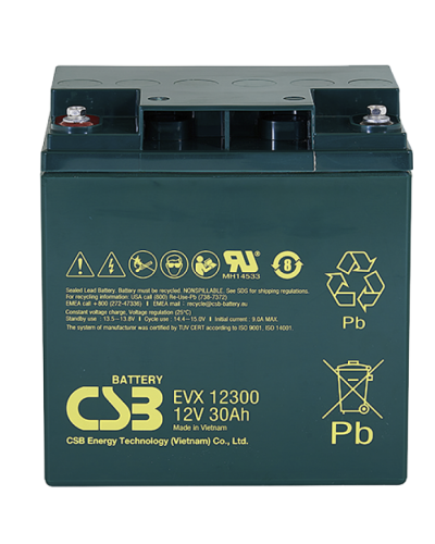 CSB EVX 12300. Аккумулятор герметичный свинцово-кислотный. CSB в Кызыле