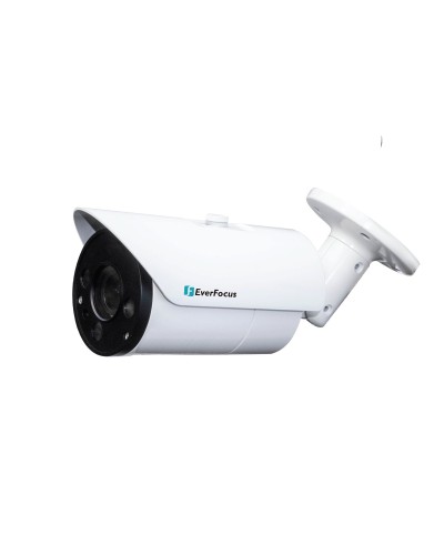 EZN-268V. Видеокамера IP купольная. EverFocus в Кызыле