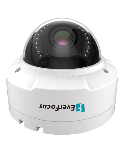 EHN-1250. Видеокамера IP купольная. EverFocus в Кызыле