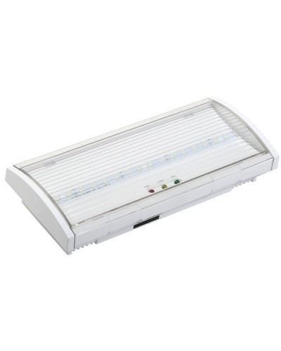 Светильник аварийный ДПА 5040-1 1ч IP54 LIGHTING (LDPA0-5040-1H-K01). Светильник аварийный постоянного действия. IEK в Кызыле