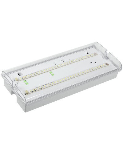 Светильник аварийный ДПА 5042-1 1ч IP65 LIGHTING (LDPA0-5042-1-65-K01). Светильник аварийный универсальный. IEK в Кызыле