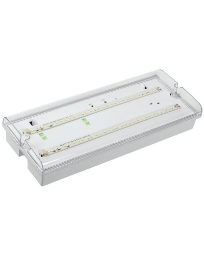 Светильник аварийный ДПА 5042-3 3ч IP65 LIGHTING (LDPA0-5042-3-65-K01). Светильник аварийный универсальный. IEK в Кызыле