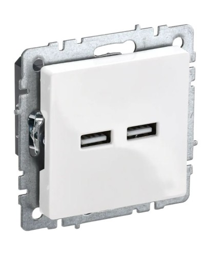 Розетка USB A+A 3,1А РЮ10-1-БрБ белый BRITE (BR-U21-D31-K01). Розетка USB. IEK в Кызыле