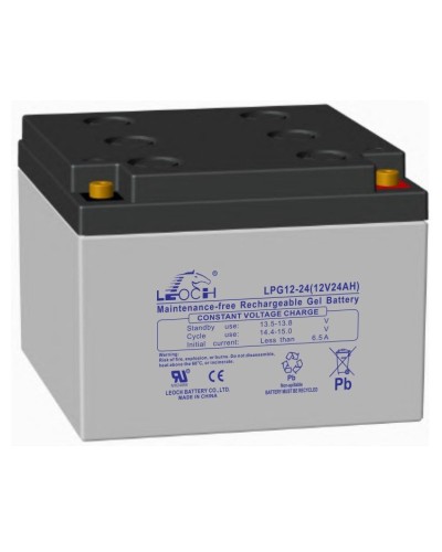 LEOCH LPG 12-24. Аккумулятор герметичный свинцово-кислотный. LEOCH в Кызыле