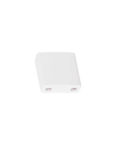 NMF-WO2-BLANK-CS-WT. Корпус настенной розетки. NIKOMAX в Кызыле