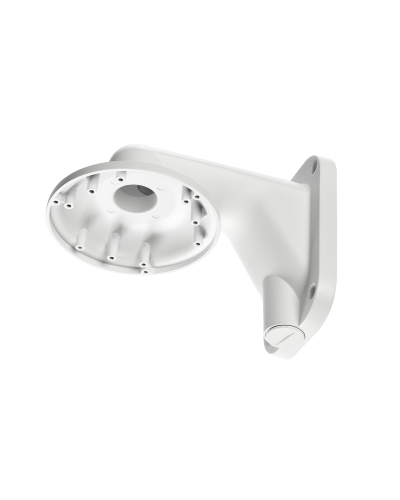 RVi-1BWM-5 white. Кронштейн настенный. RVi в Кызыле