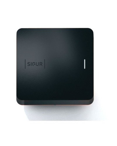 Sigur MR100 Multi. Считыватель. SIGUR в Кызыле