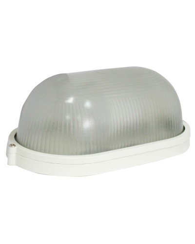 SKAT LED-220 E27 IP54 (2454). Лампа аварийного освещения. Бастион в Кызыле